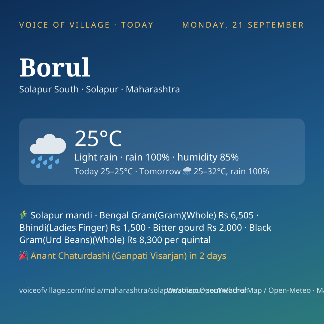 Borul today