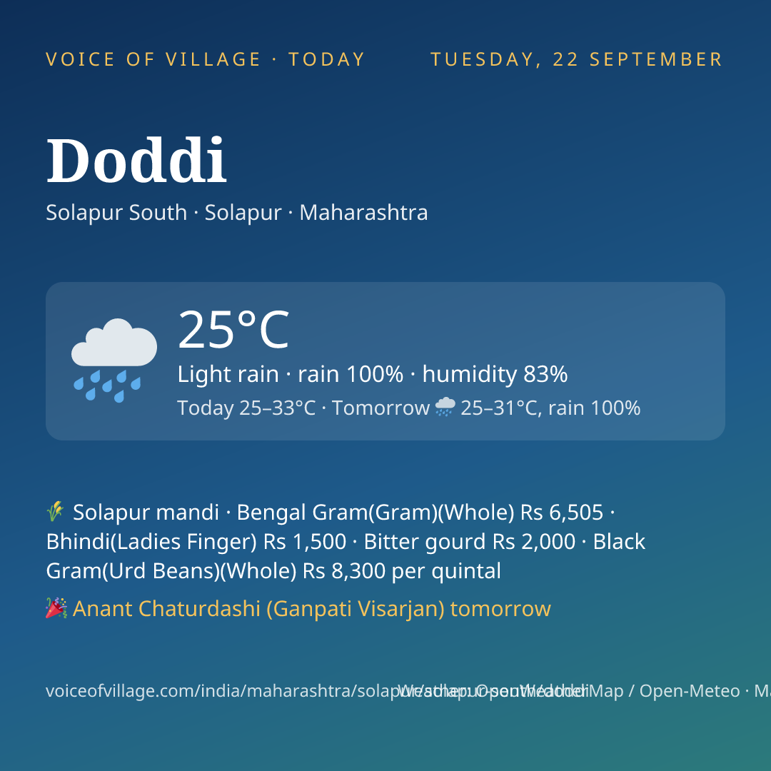 Doddi today