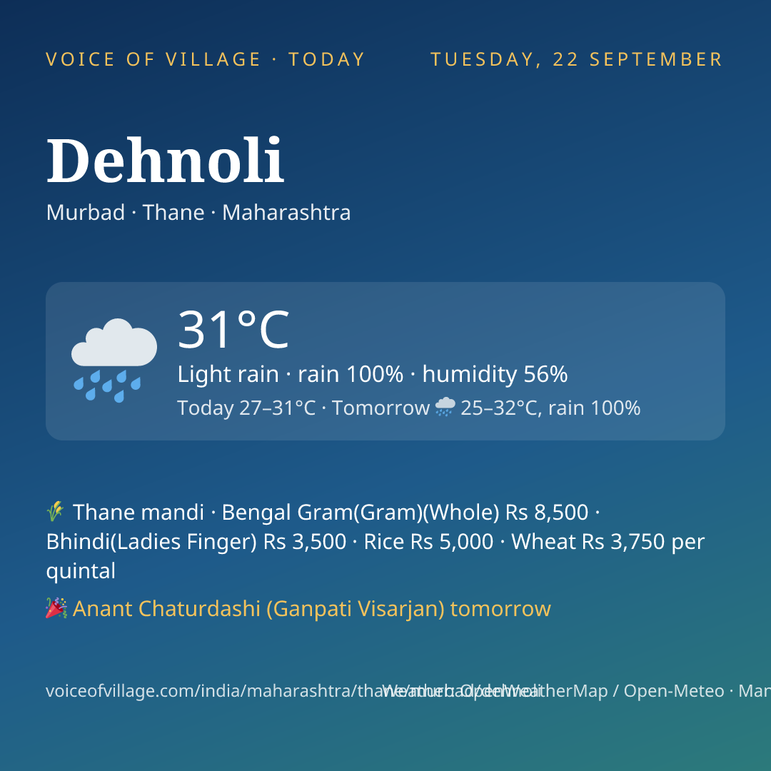Dehnoli today