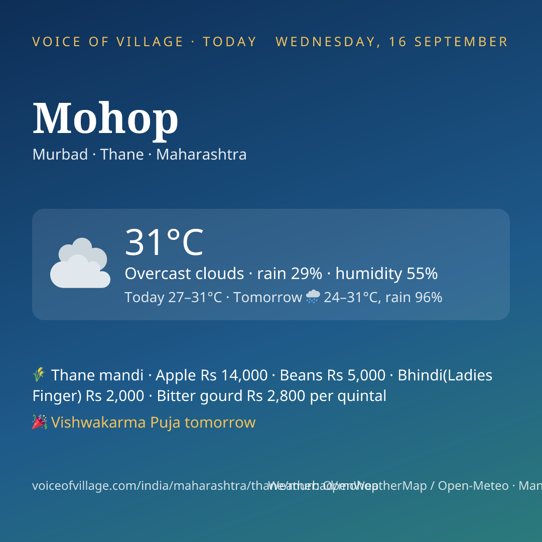 Mohop today