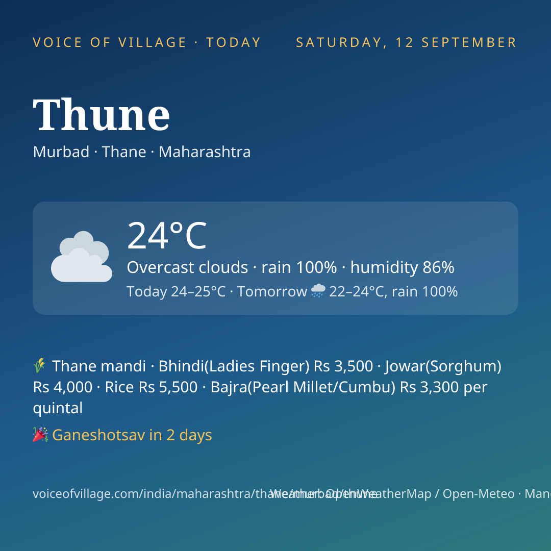 Thune today