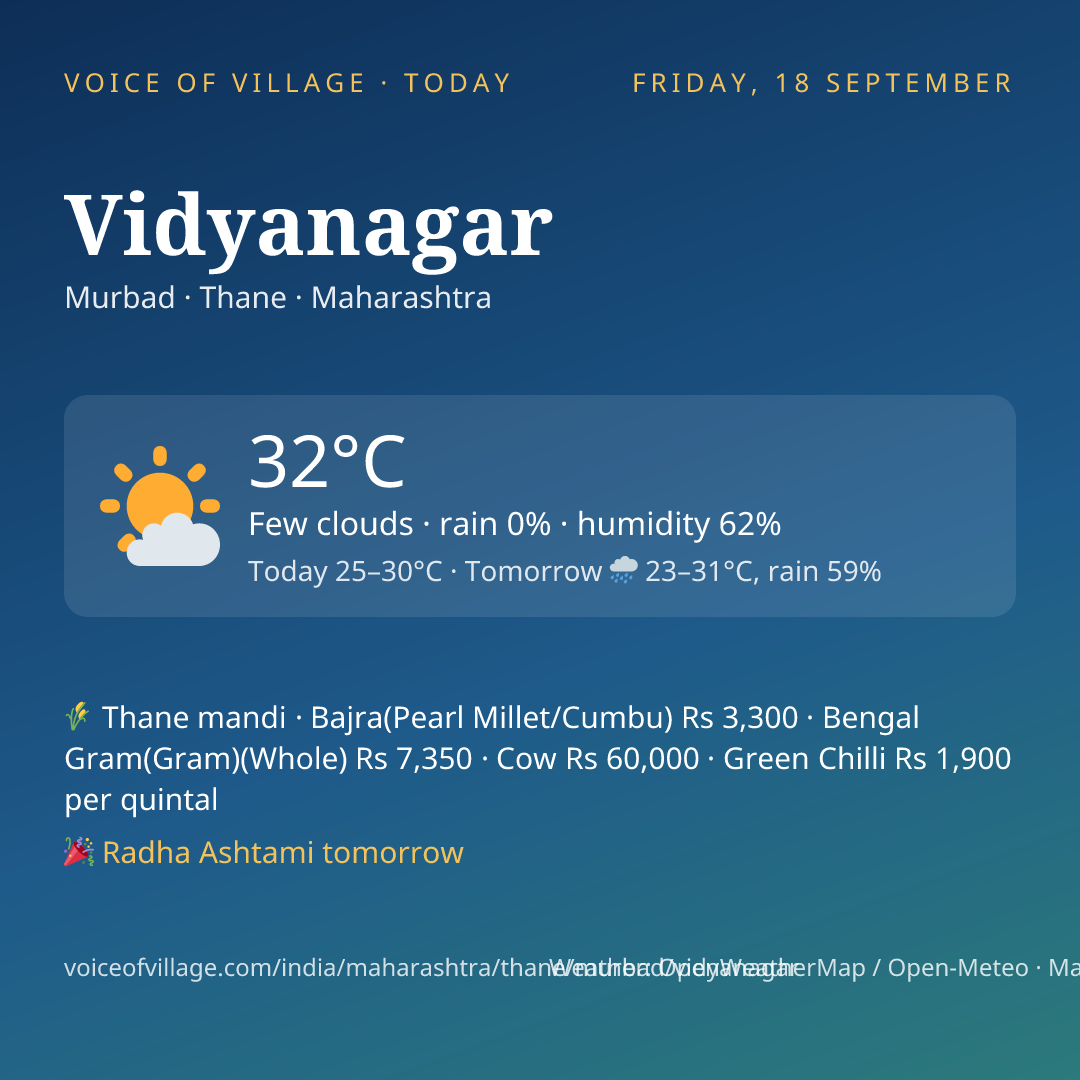 Vidyanagar today