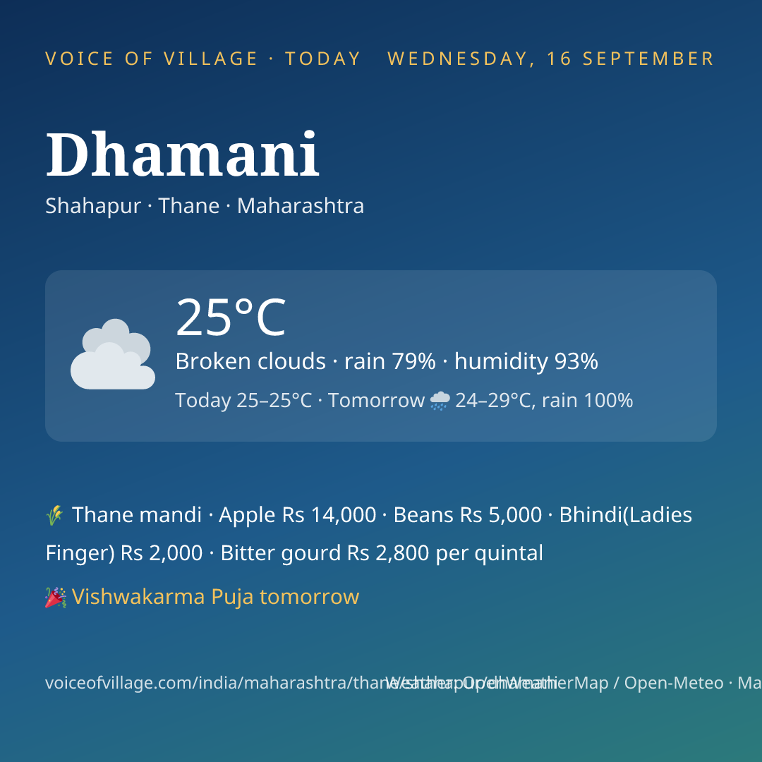 Dhamani today