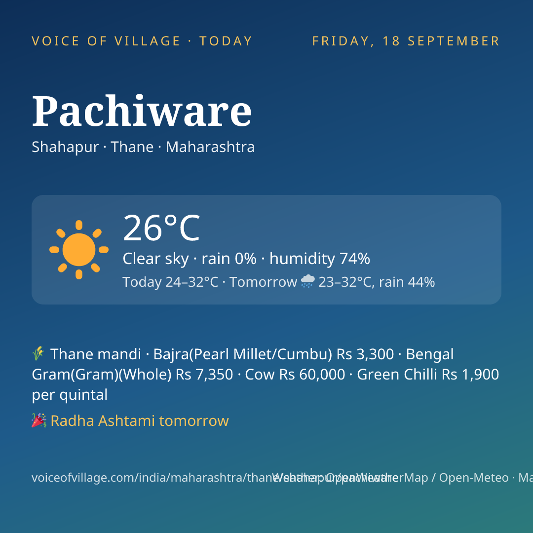 Pachiware today