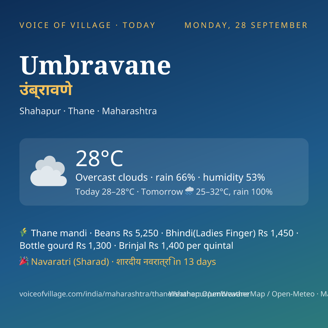 Umbravane today