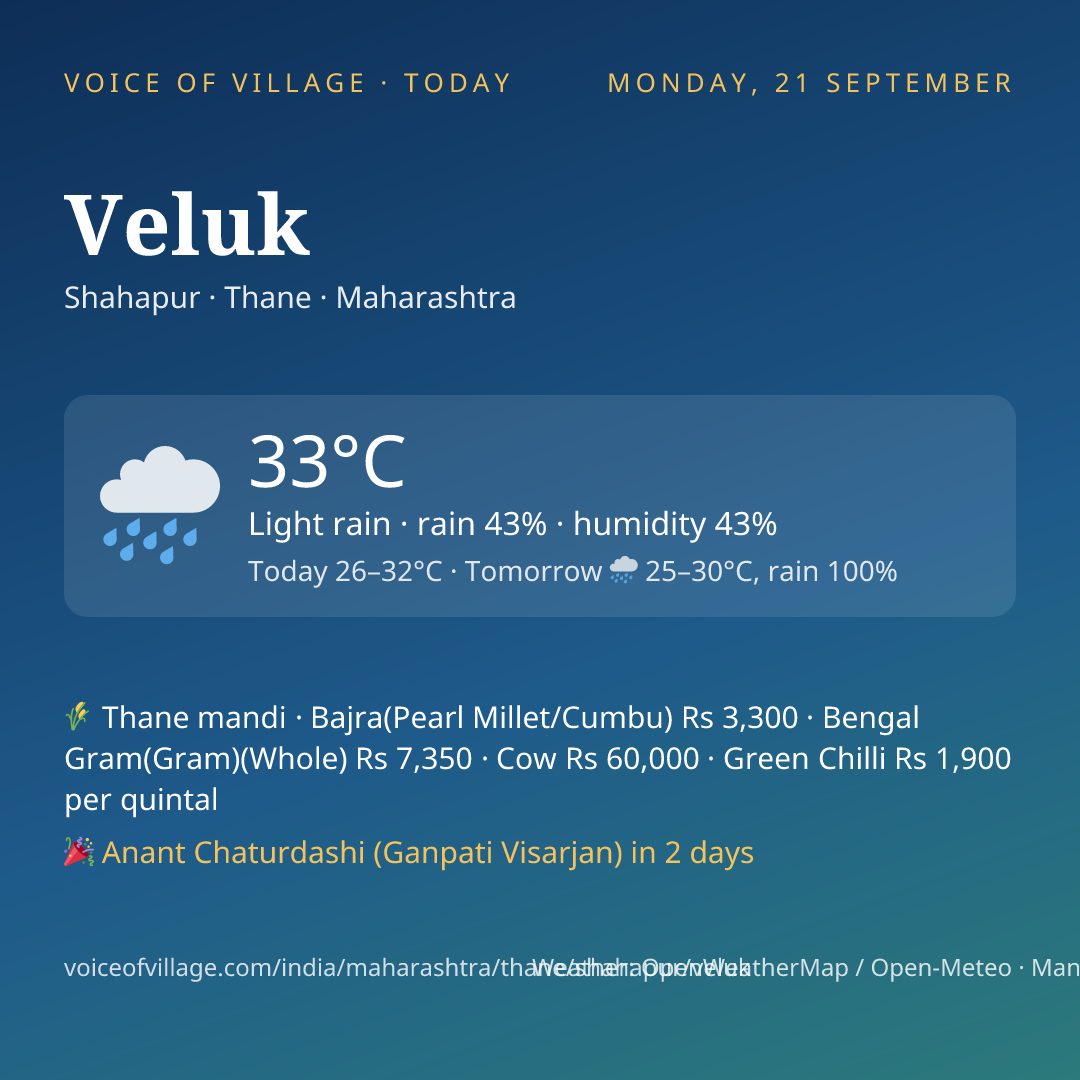 Veluk today