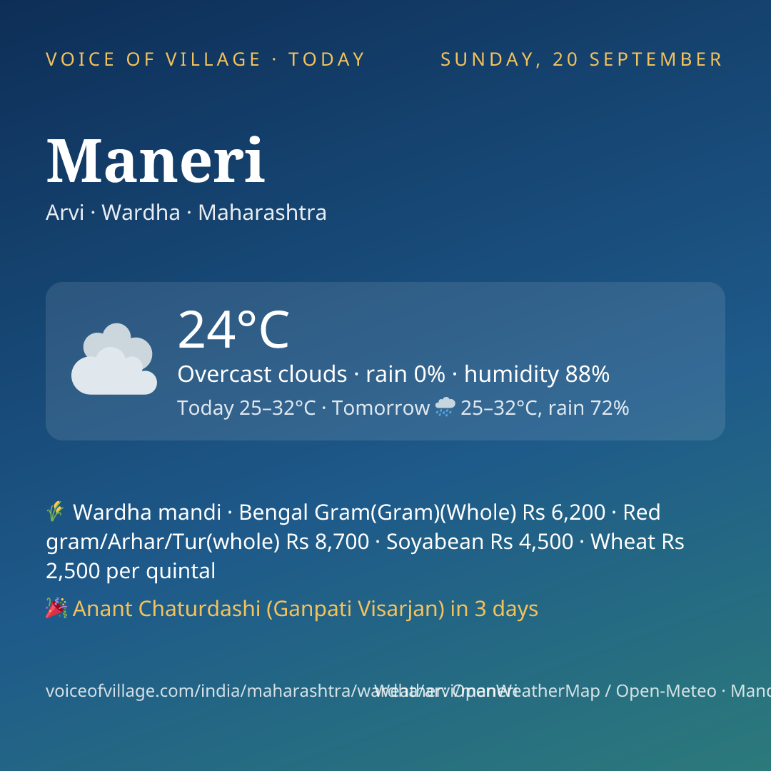 Maneri today