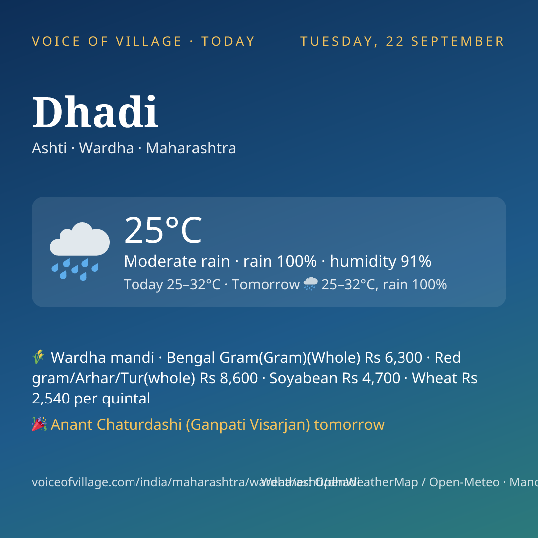 Dhadi today