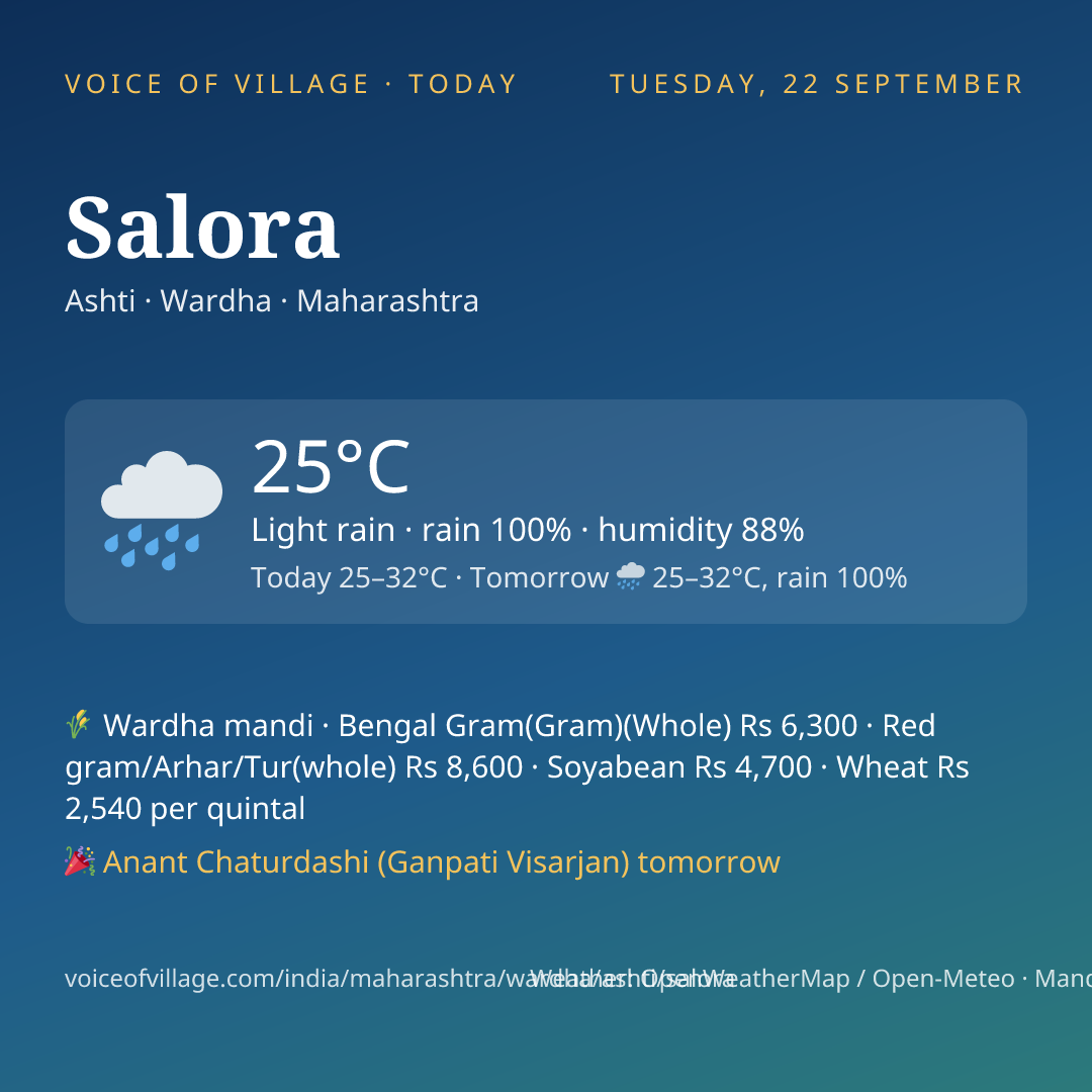 Salora today
