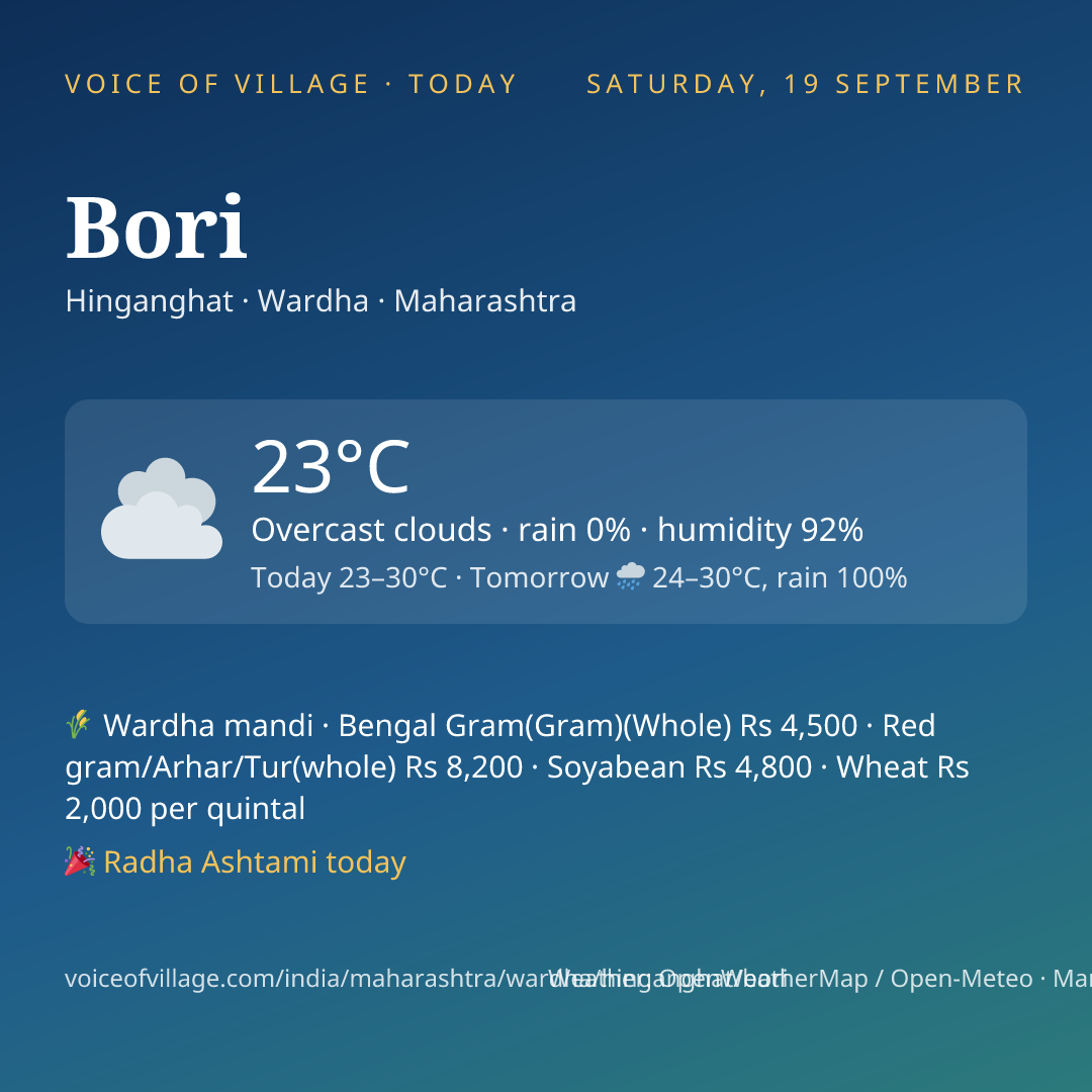 Bori today