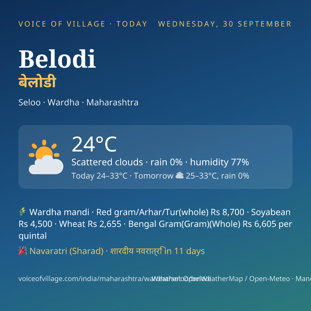 Belodi today