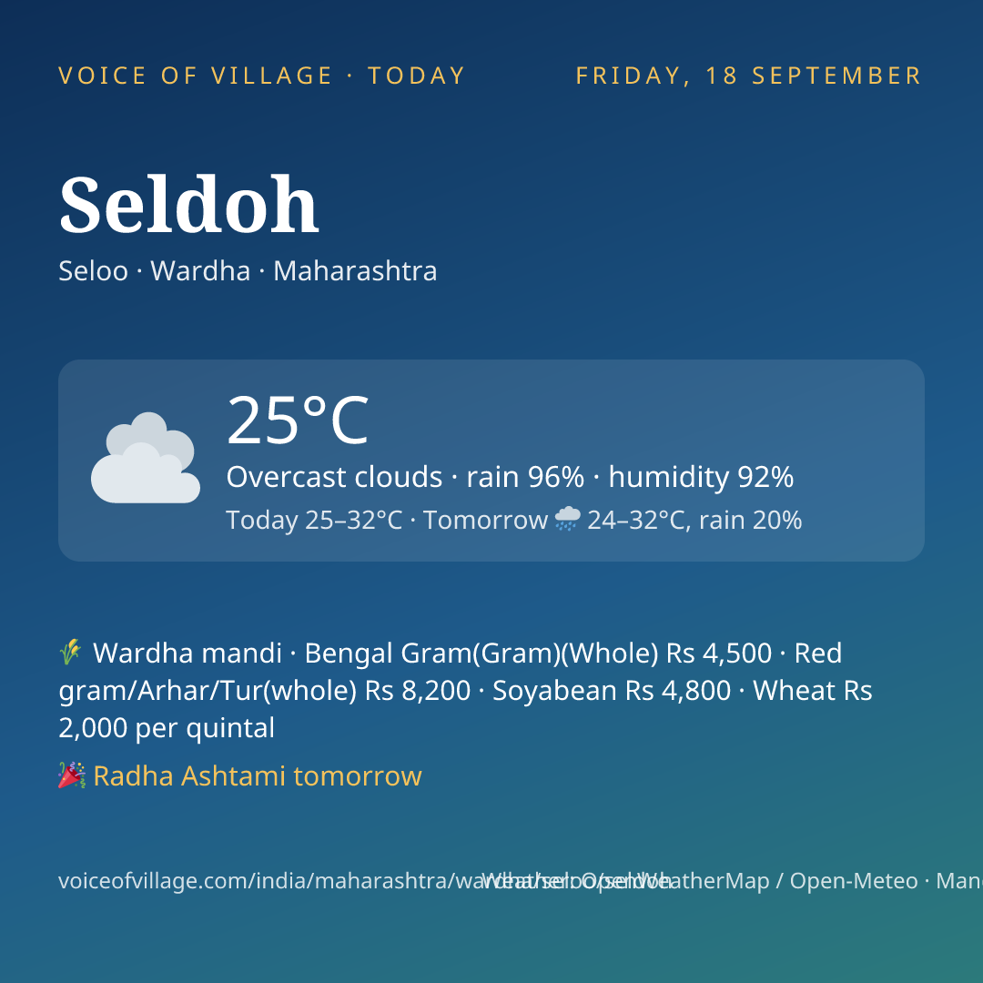 Seldoh today