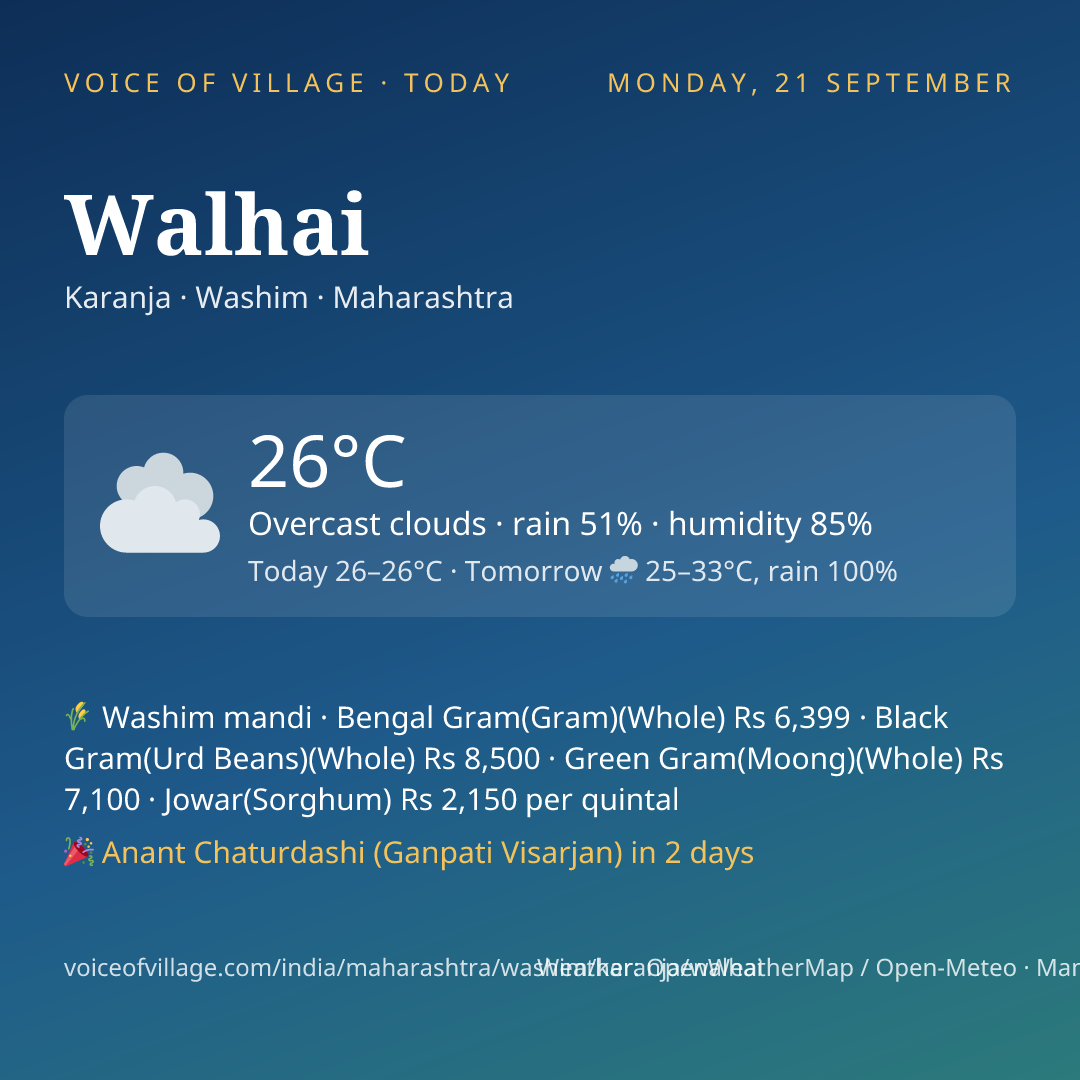 Walhai today