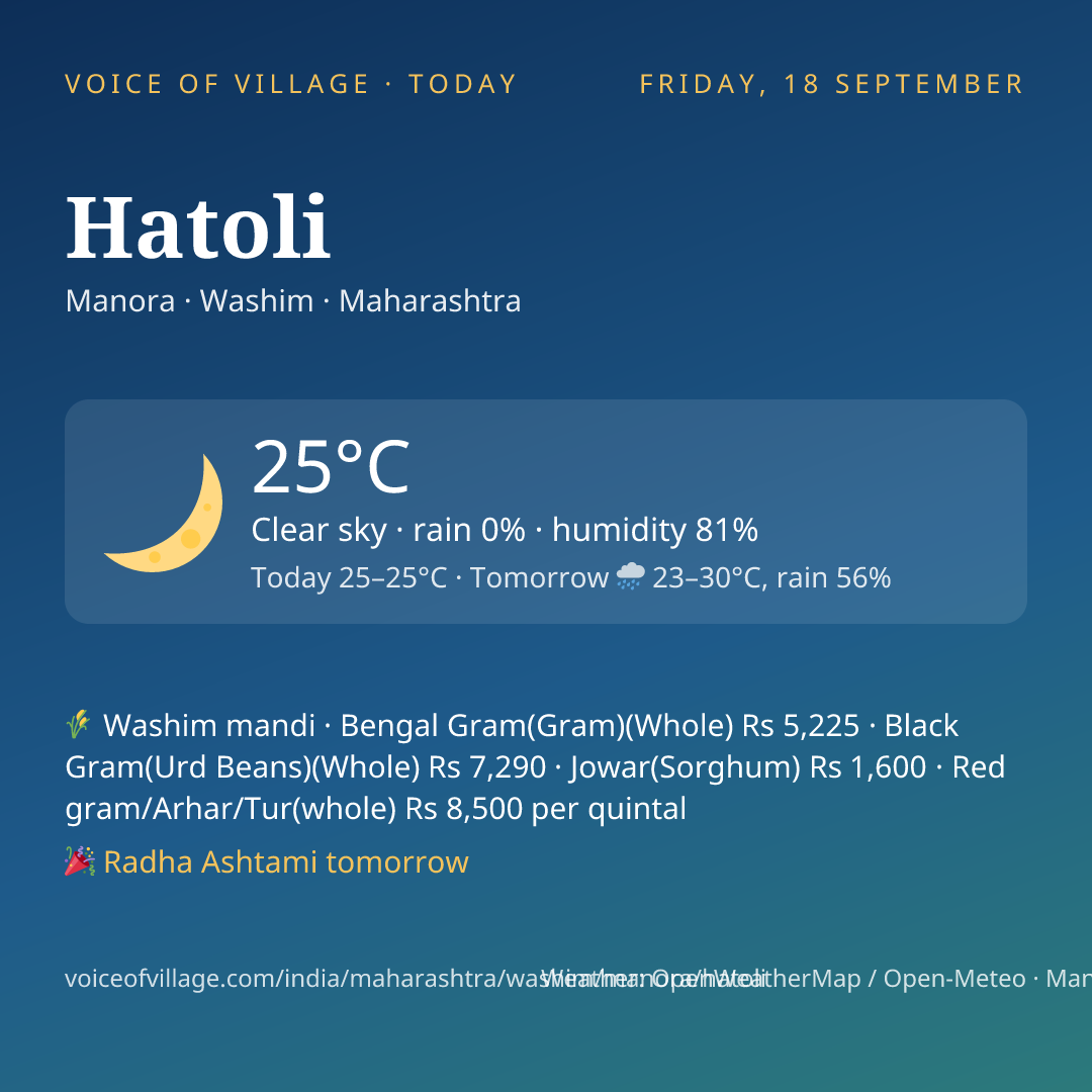 Hatoli today