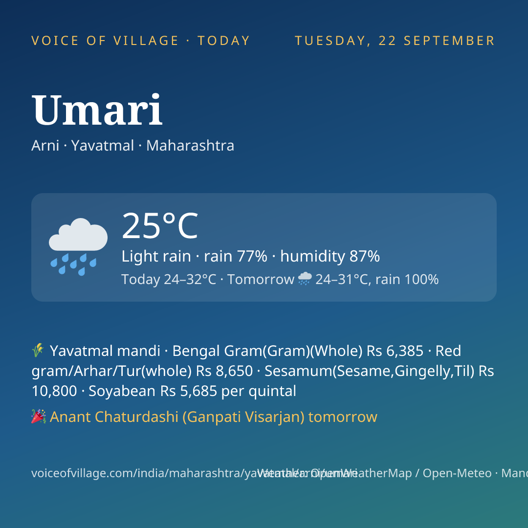 Umari today