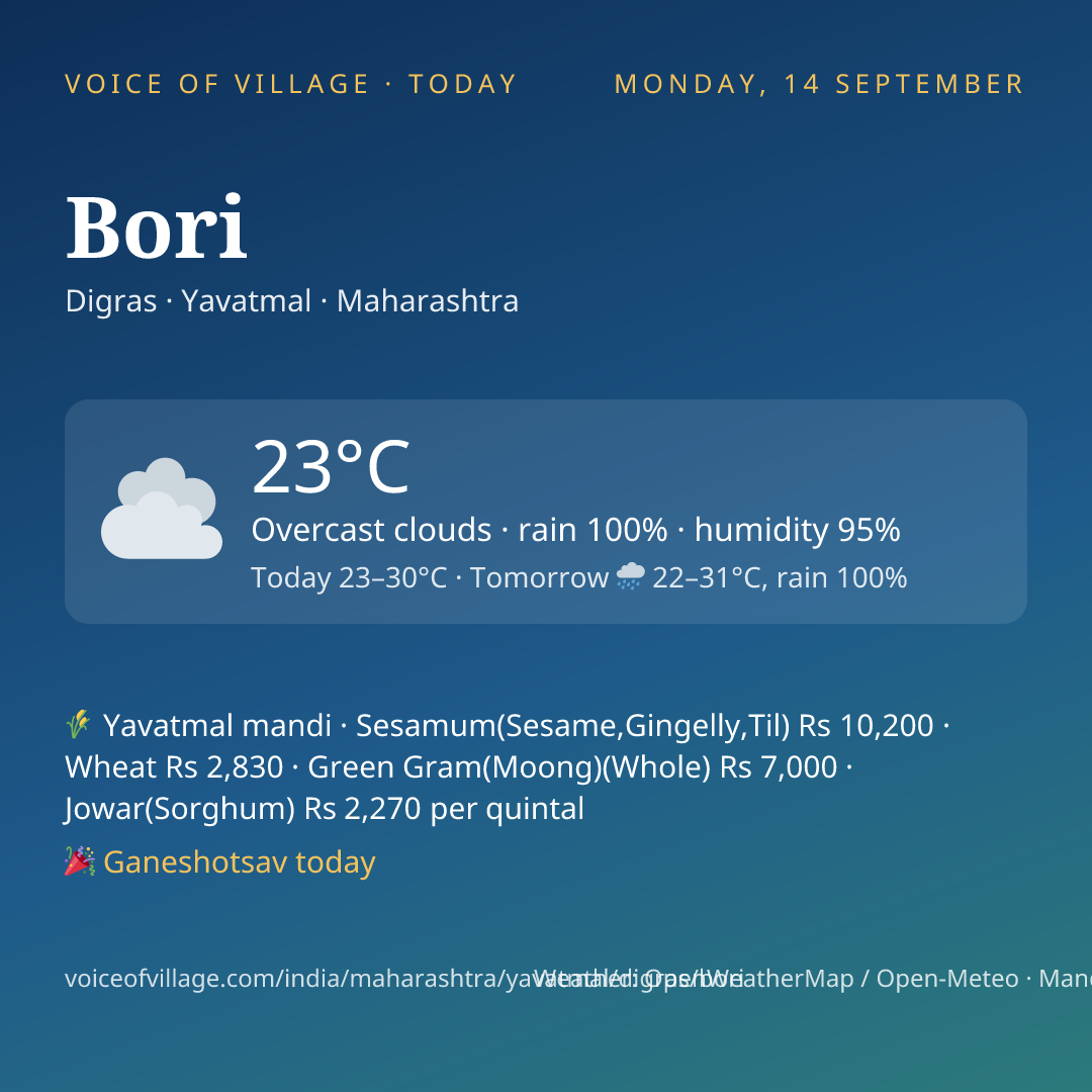 Bori today