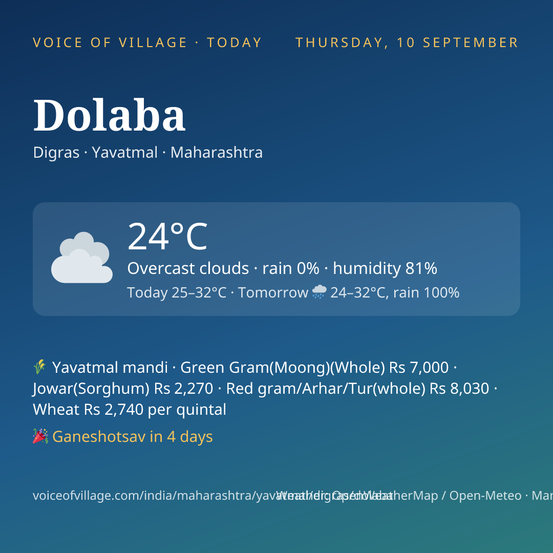Dolaba today
