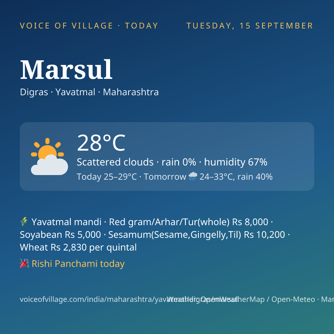 Marsul today