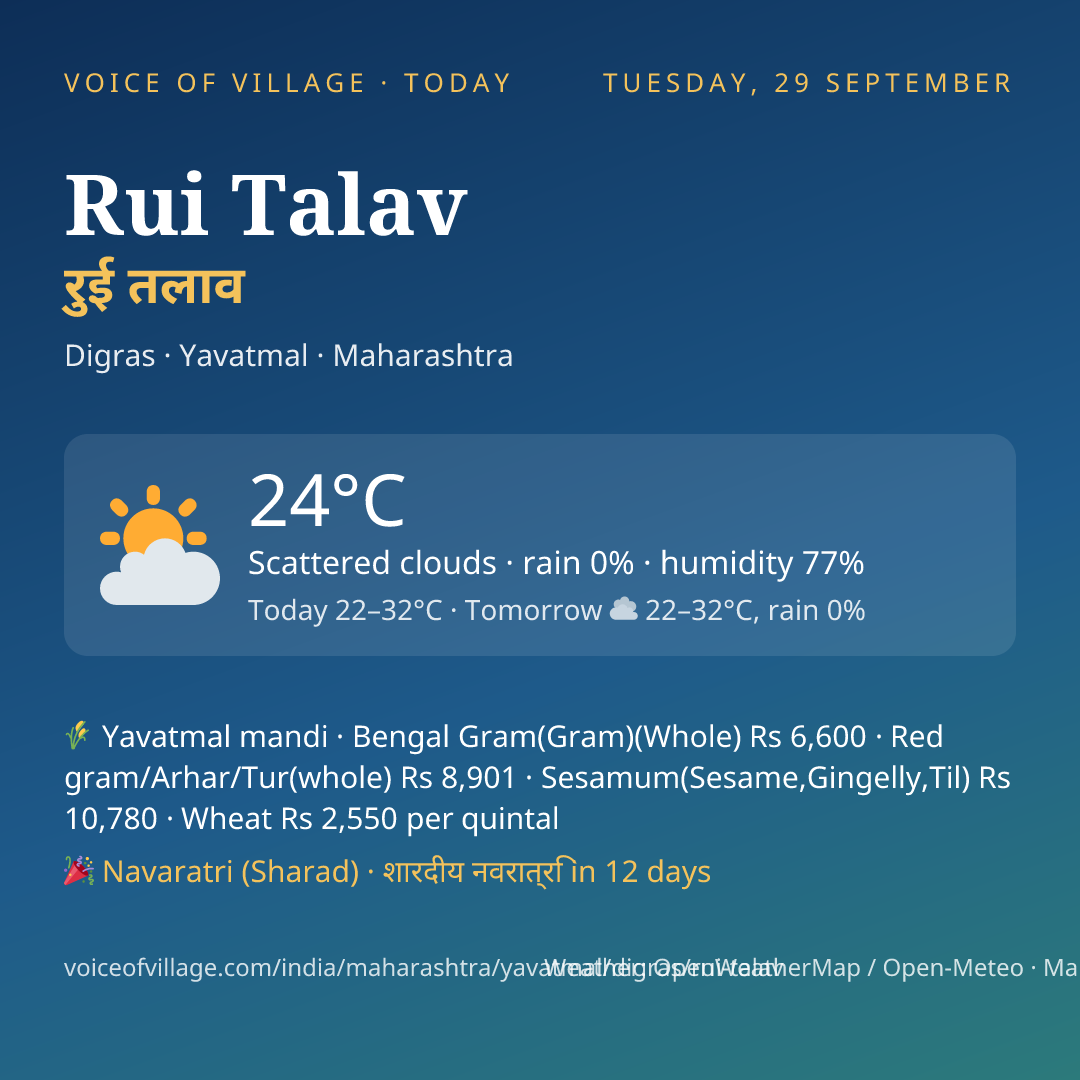 Rui Talav today