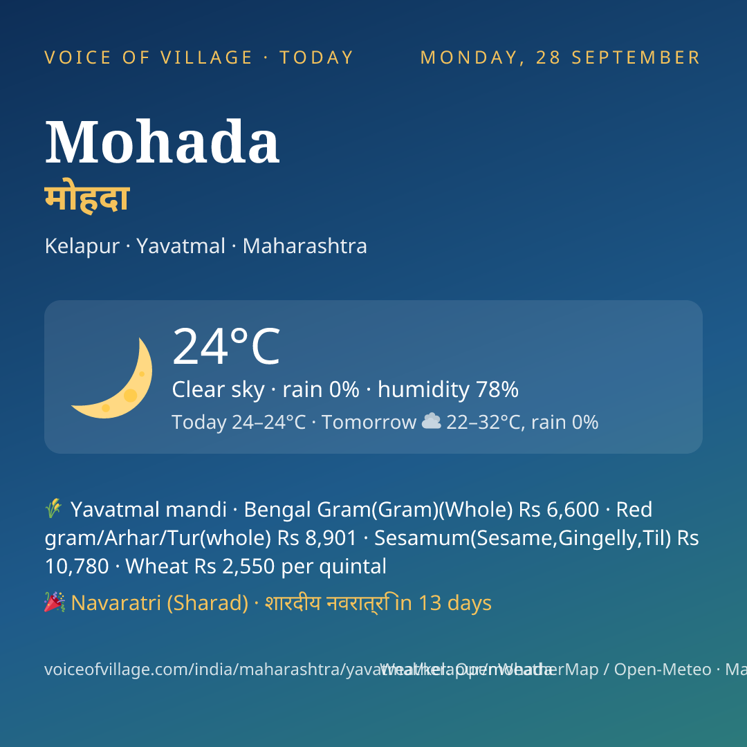 Mohada today