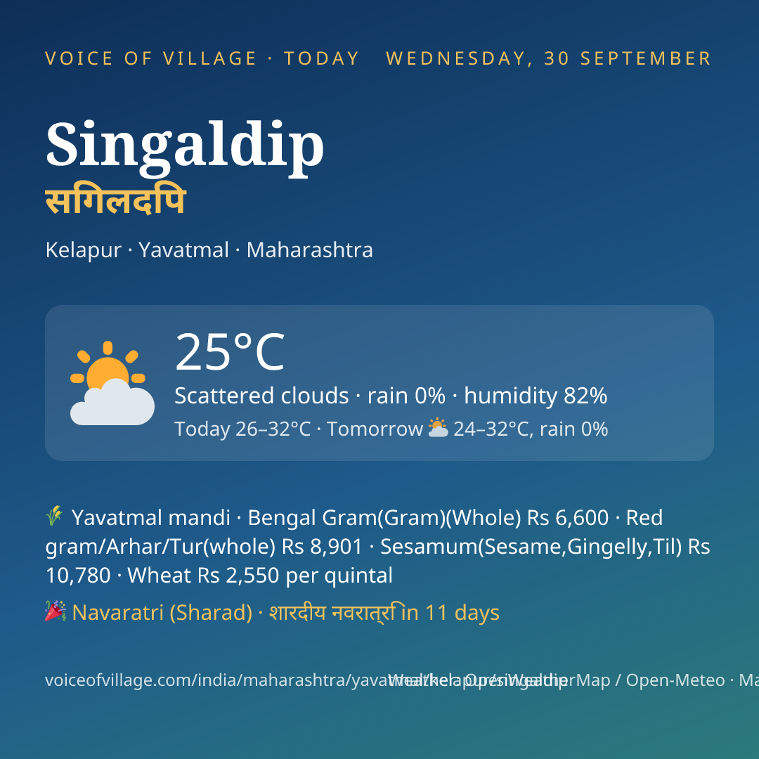 Singaldip today