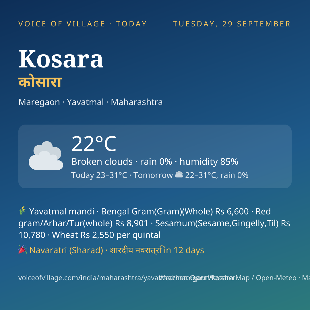 Kosara today