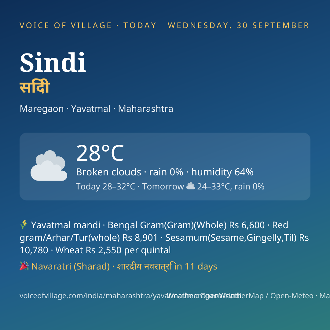 Sindi today