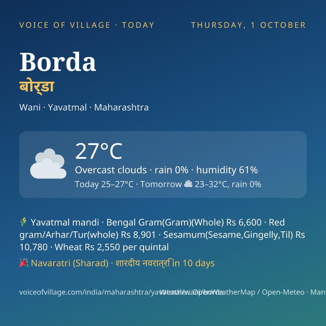 Borda today