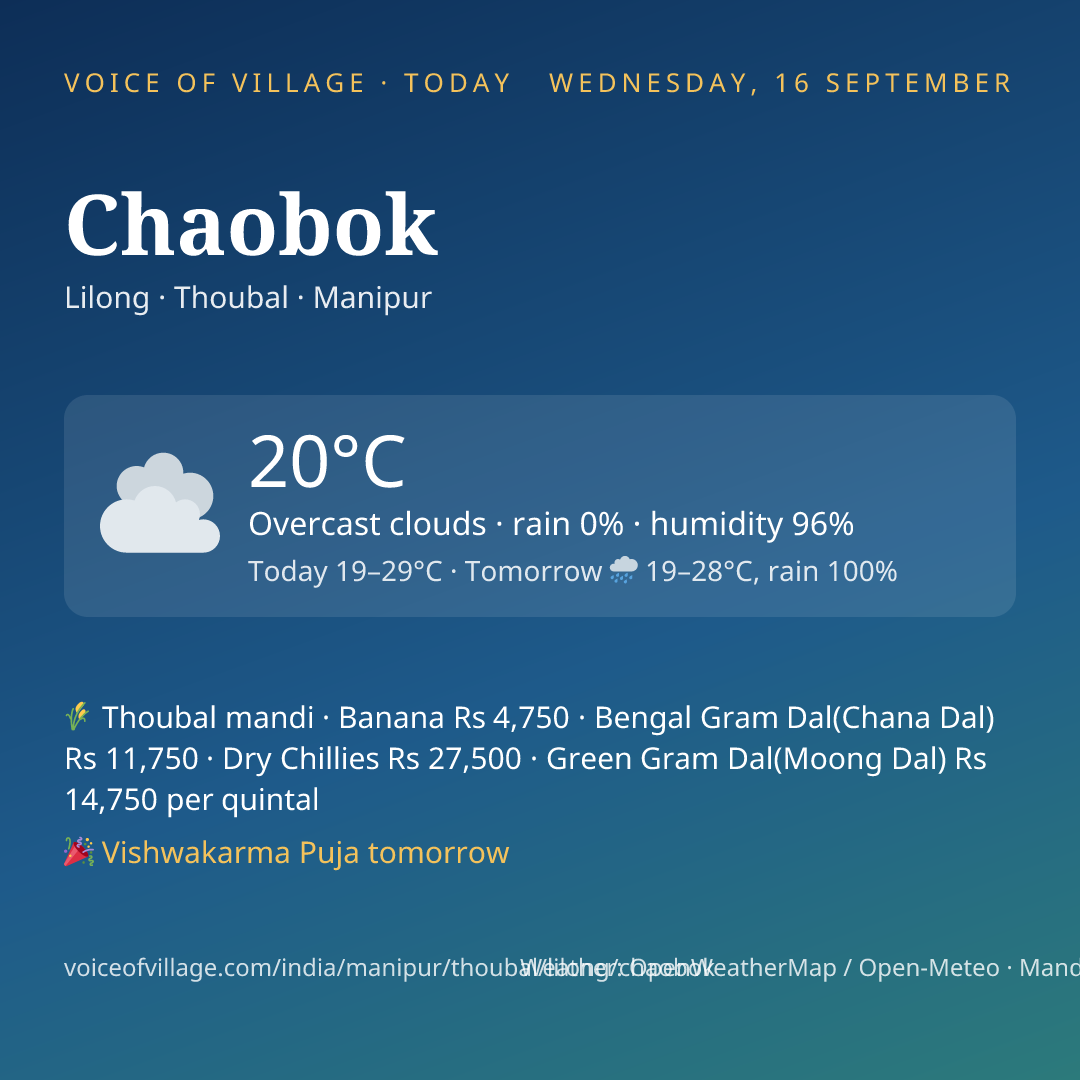 Chaobok today