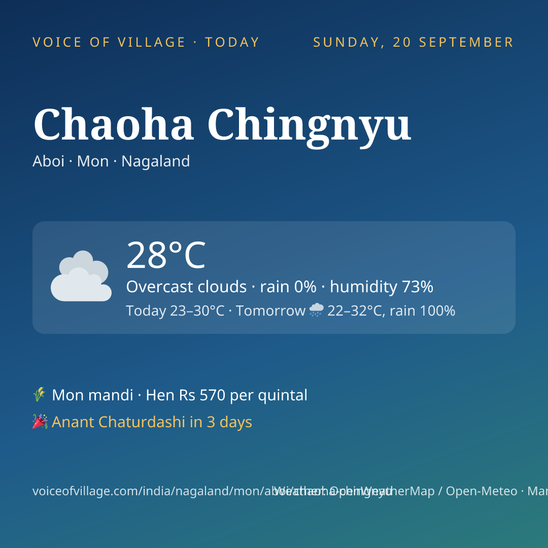 Chaoha Chingnyu today