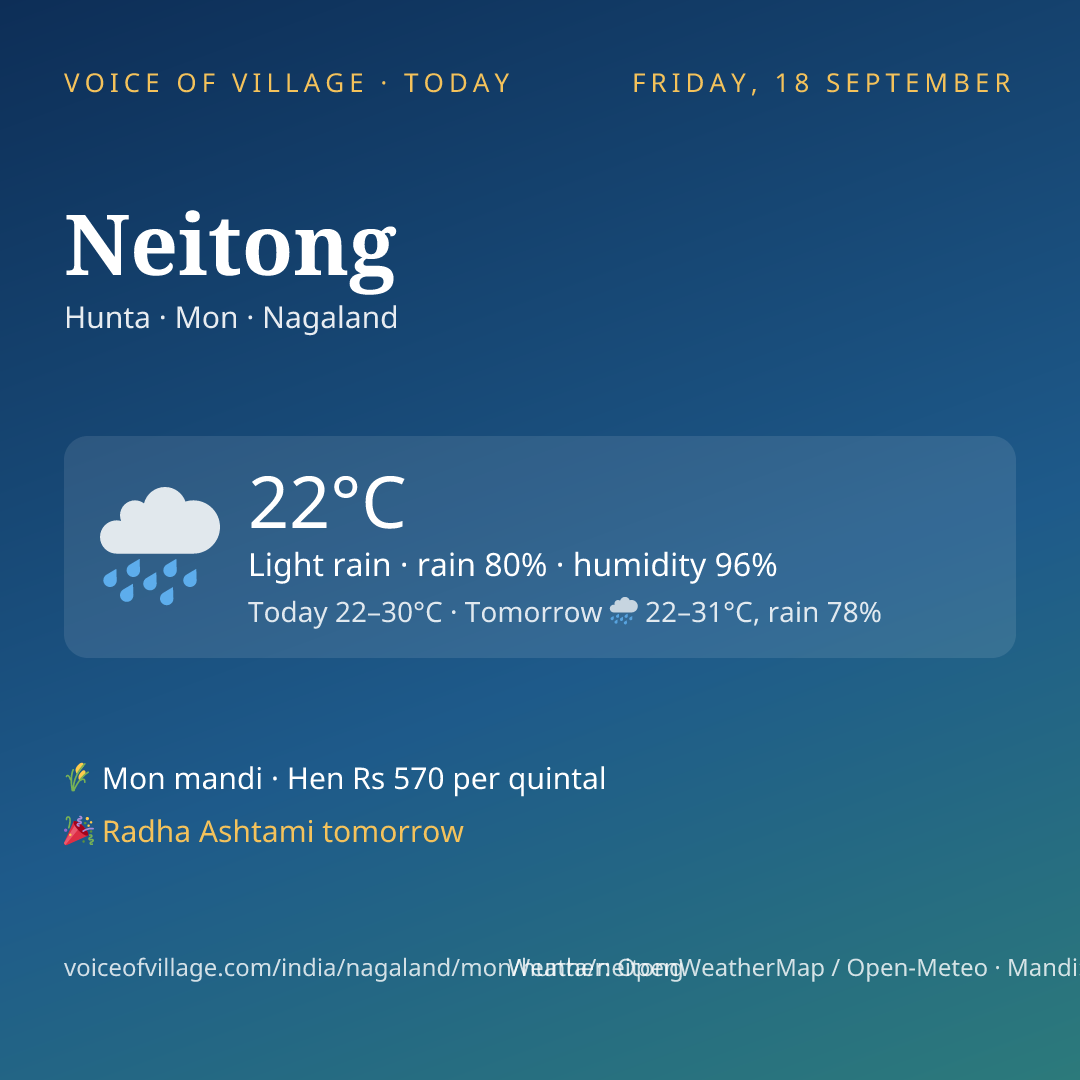 Neitong today