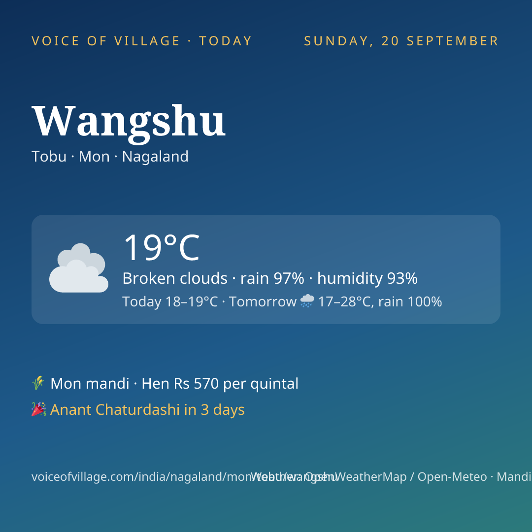 Wangshu today
