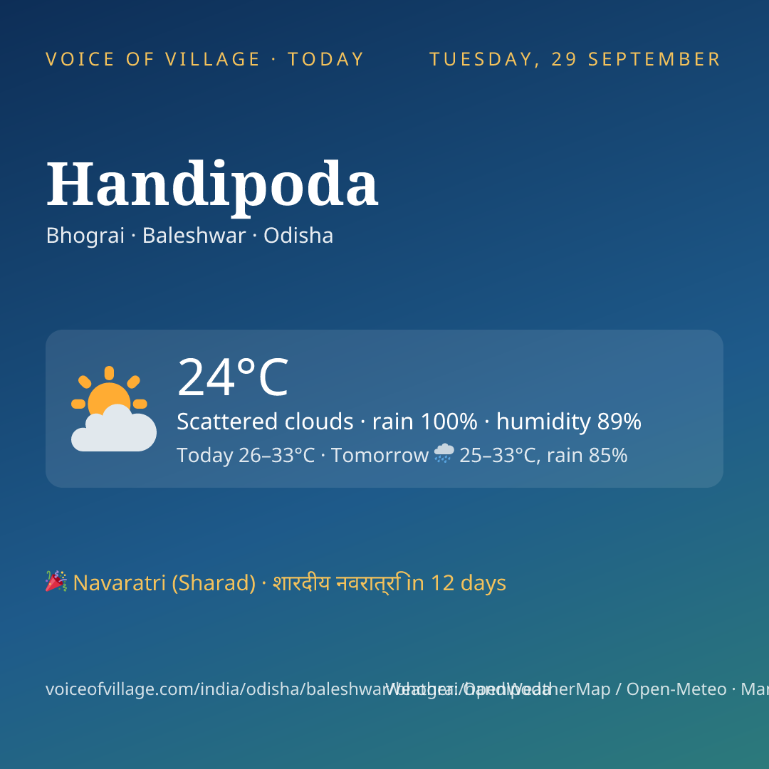 Handipoda today