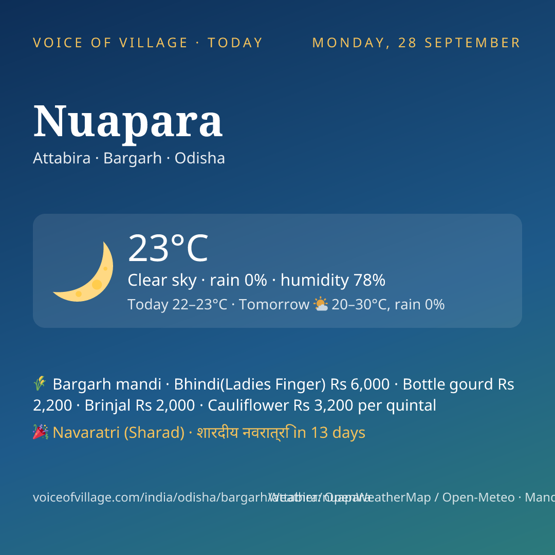 Nuapara today