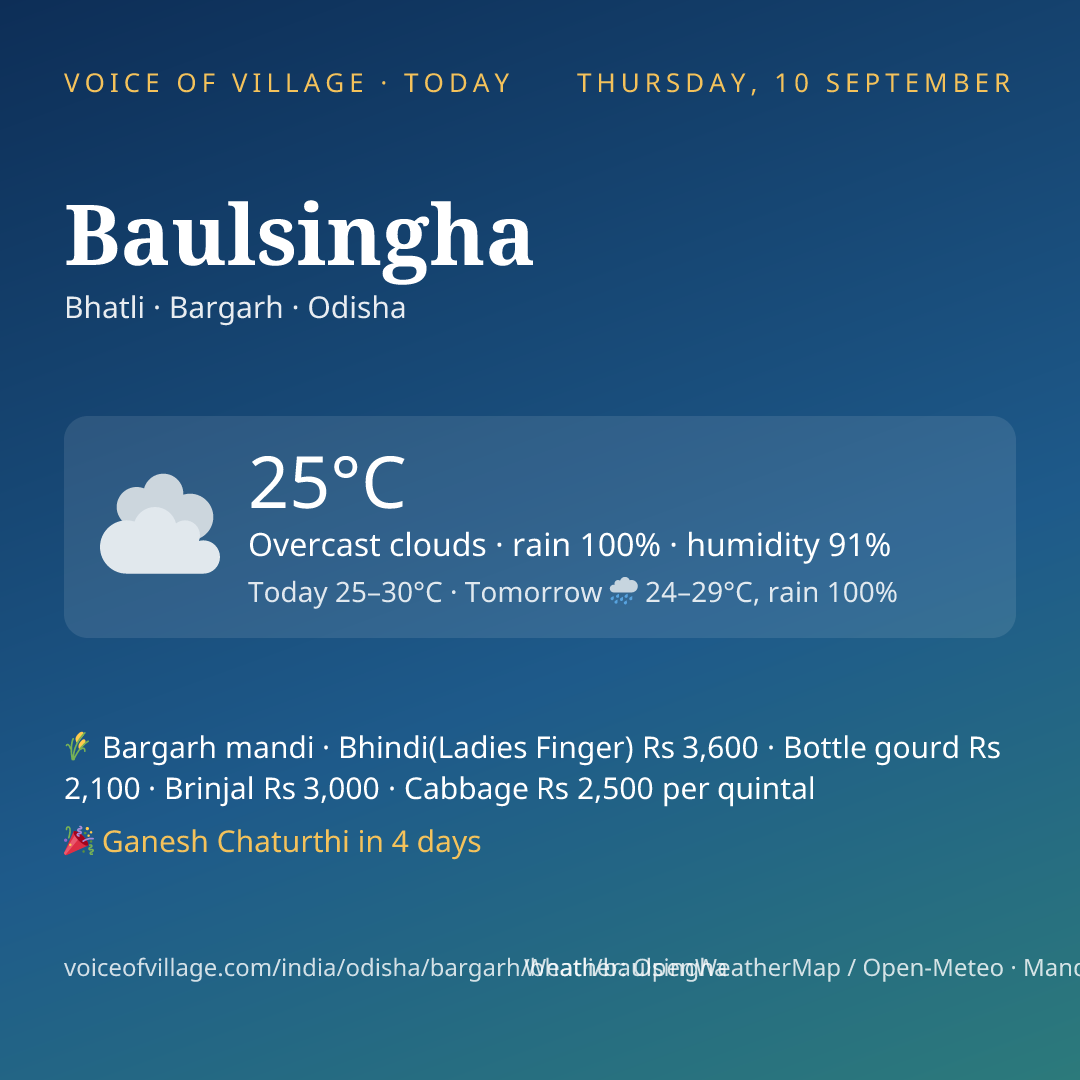 Baulsingha today