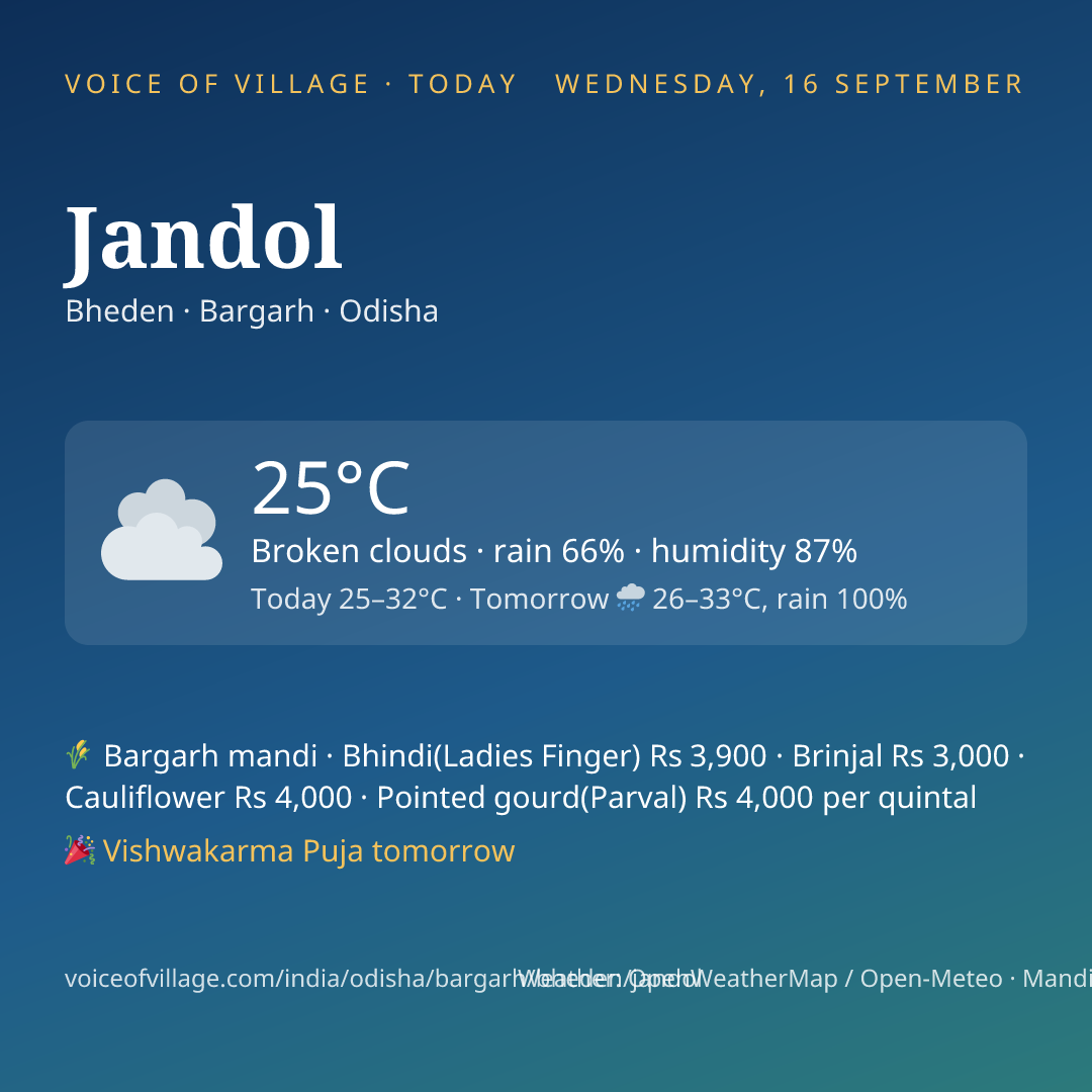 Jandol today