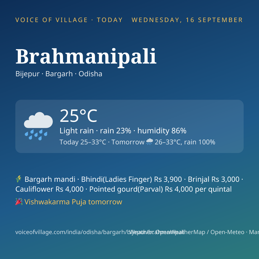 Brahmanipali today