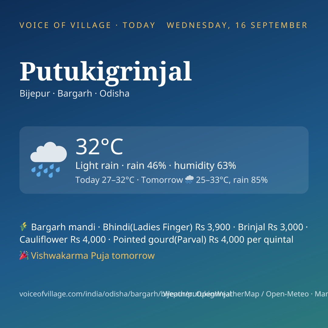 Putukigrinjal today