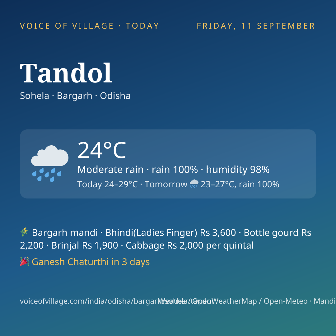 Tandol today