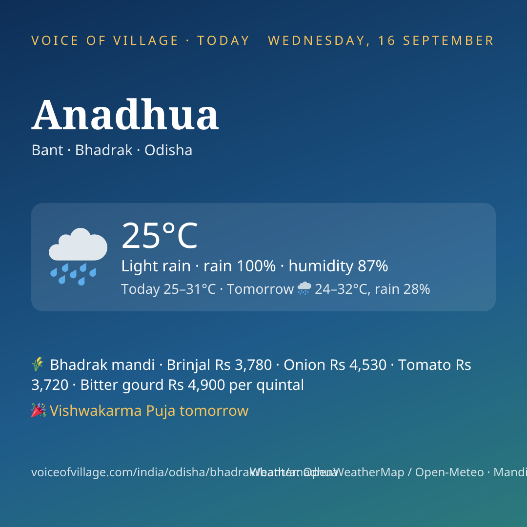 Anadhua today