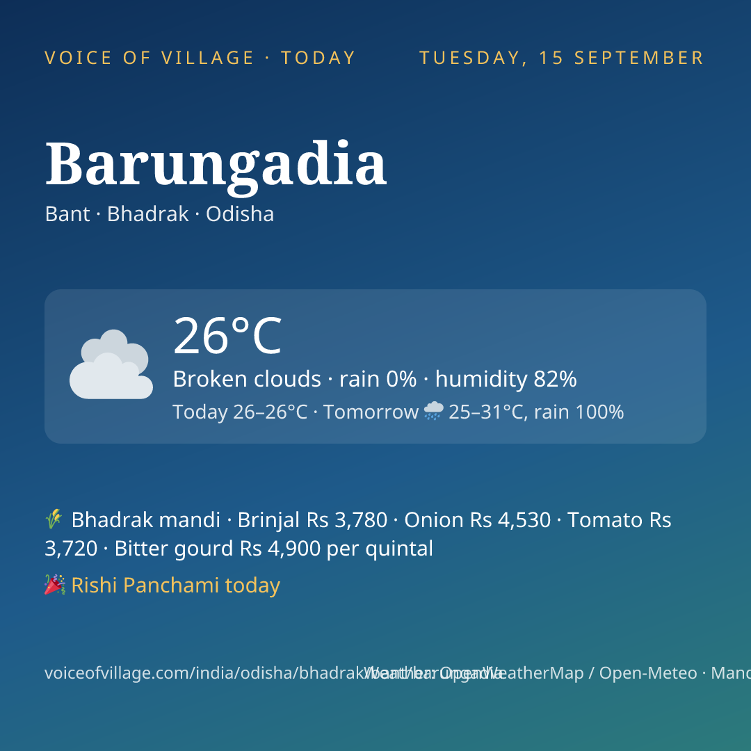 Barungadia today
