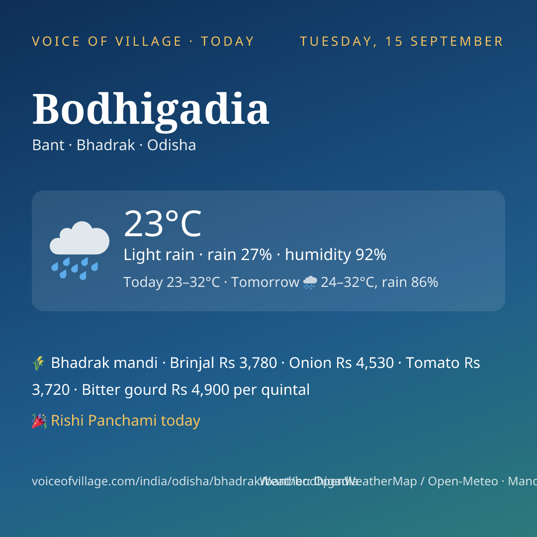 Bodhigadia today