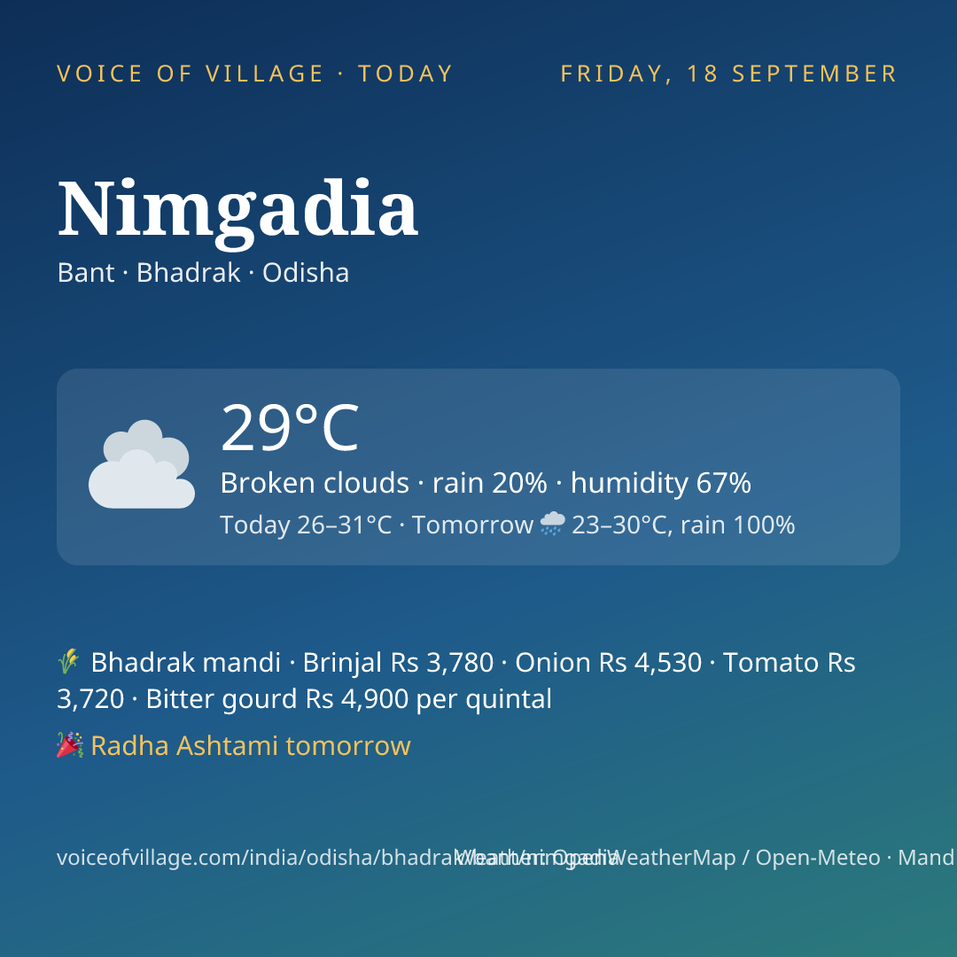 Nimgadia today