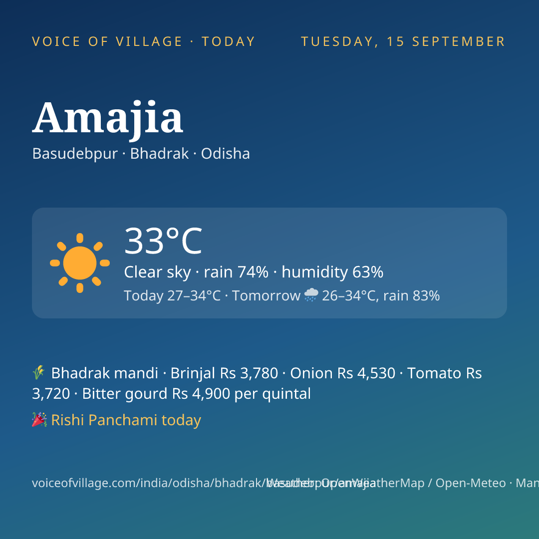 Amajia today