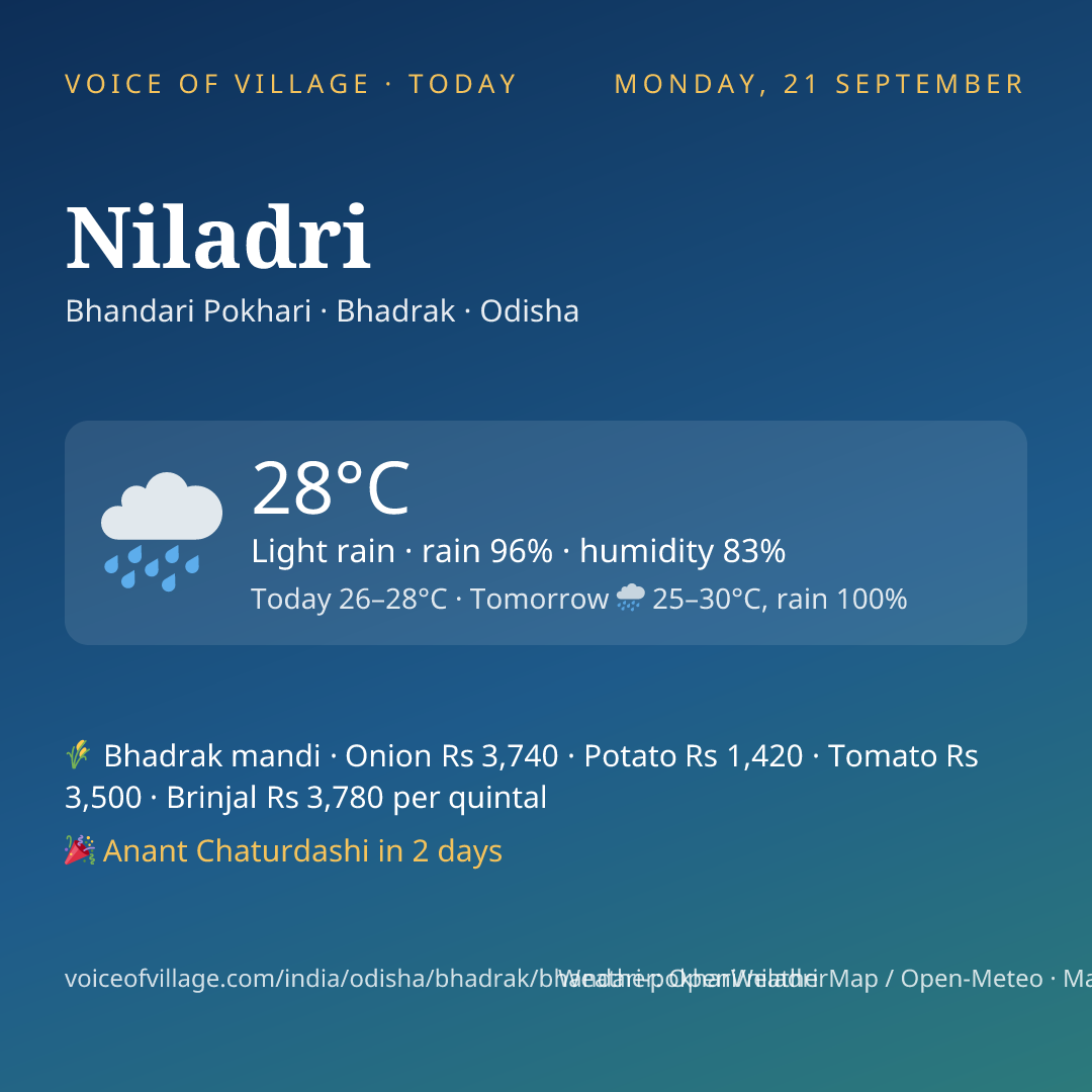 Niladri today