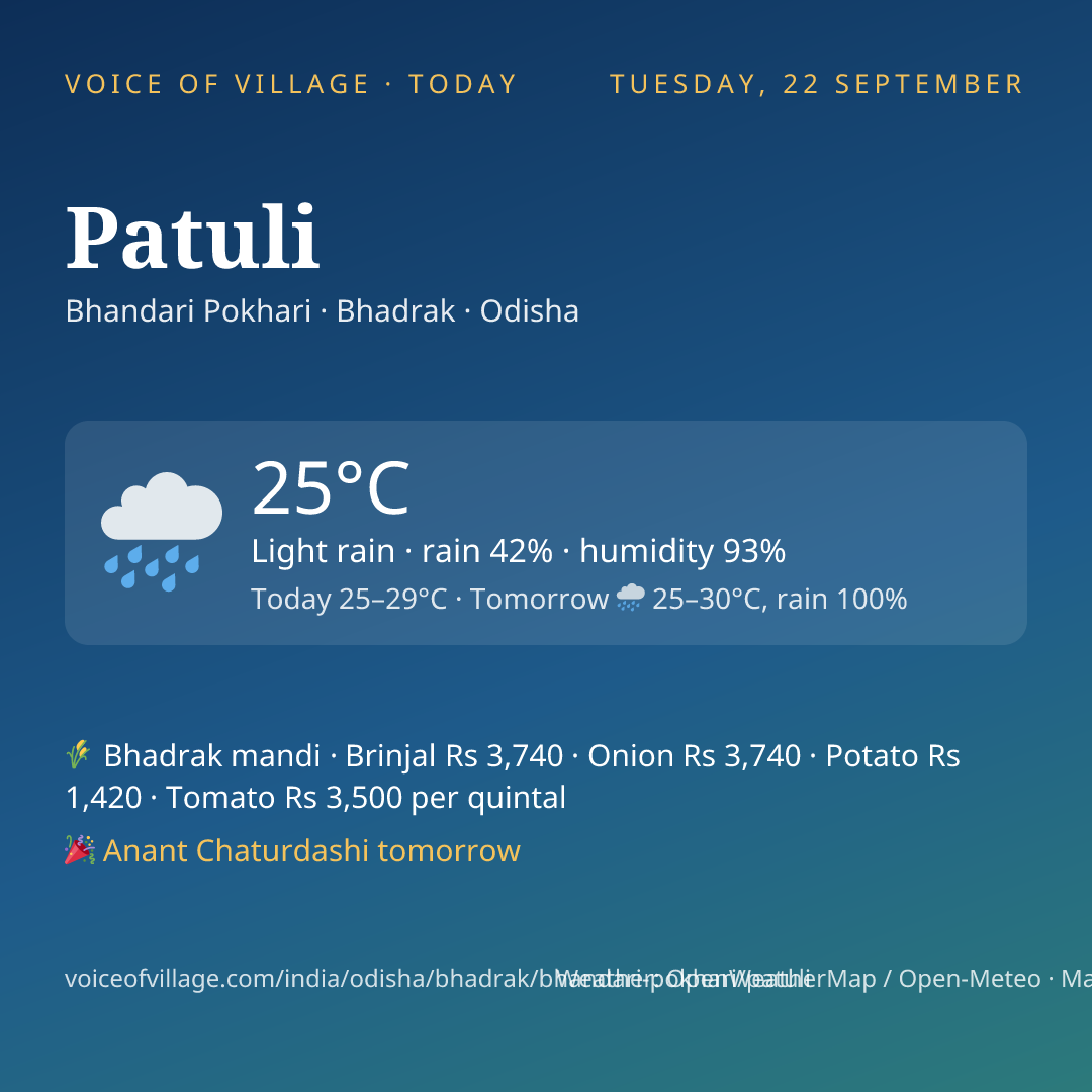 Patuli today