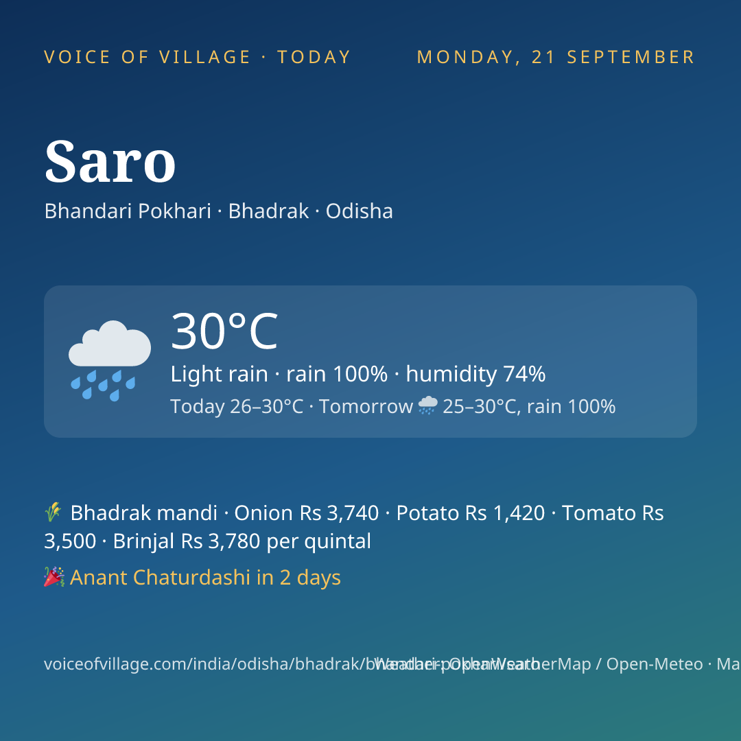 Saro today