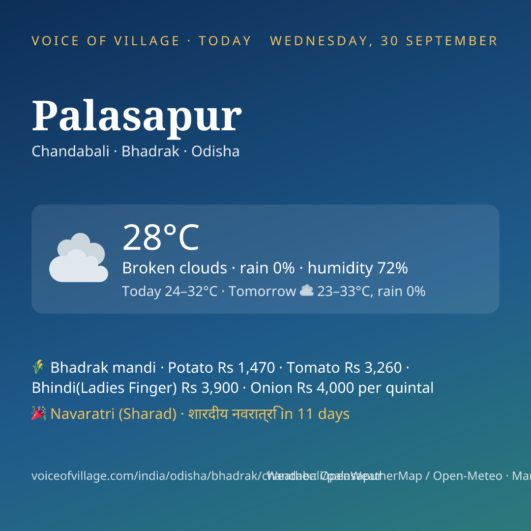 Palasapur today