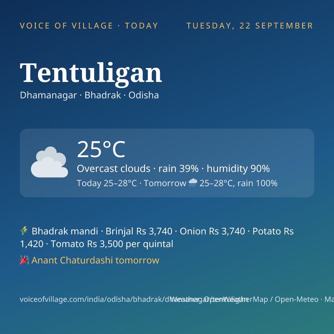Tentuligan today