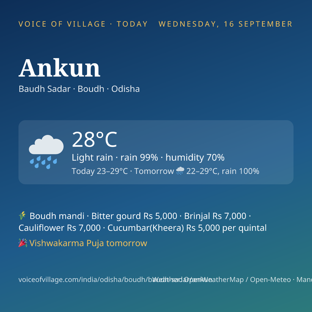 Ankun today